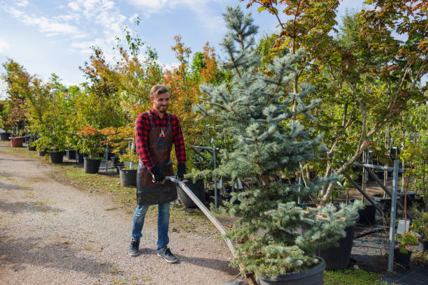 Best Leaf Removal  in Columbia City, IN